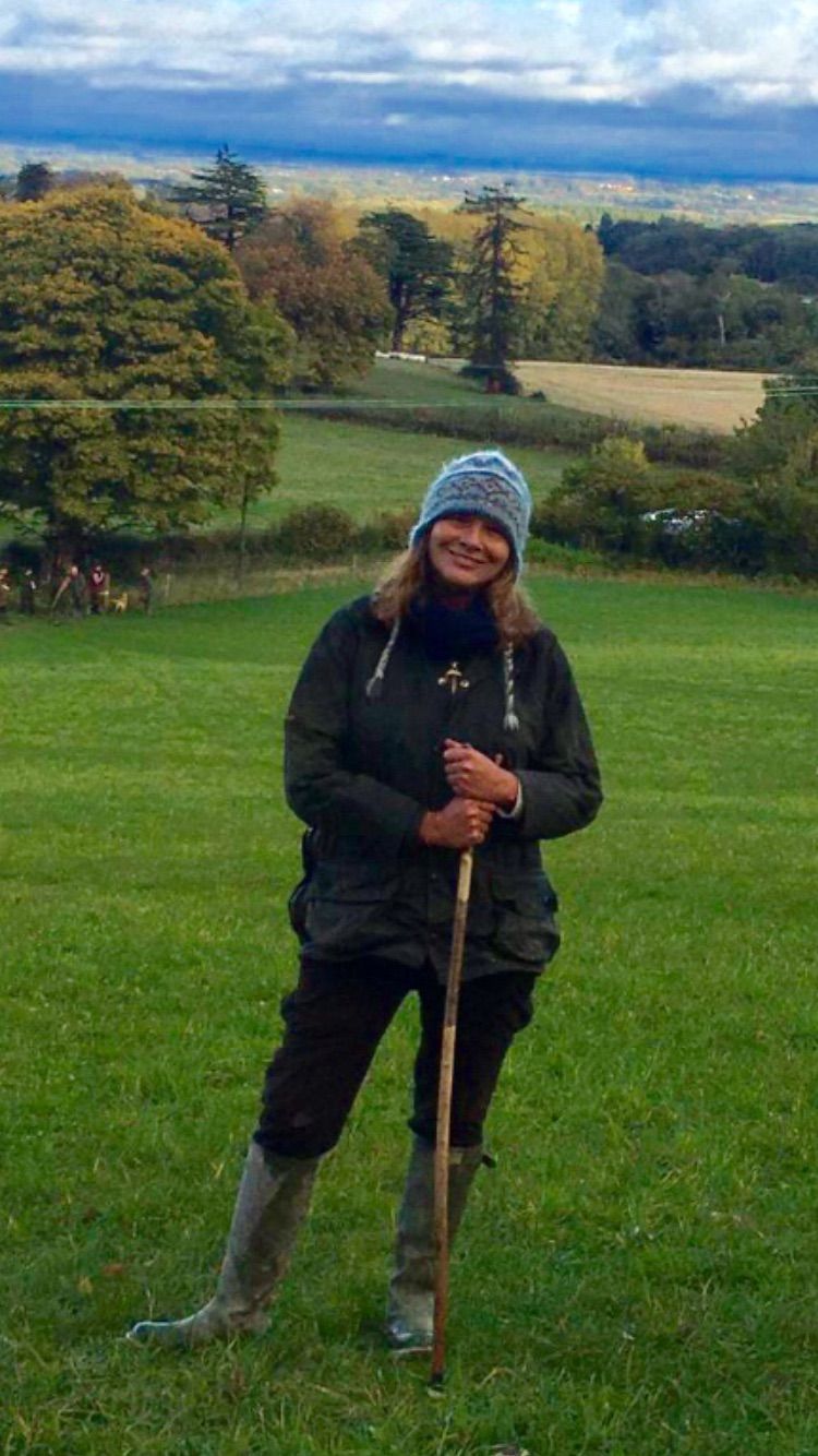 Gemininorth Gemininorth