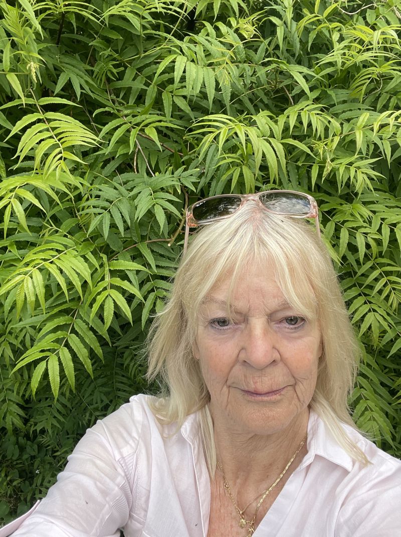 Shropshirelady4
